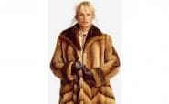 Fur or no fur, that is the question